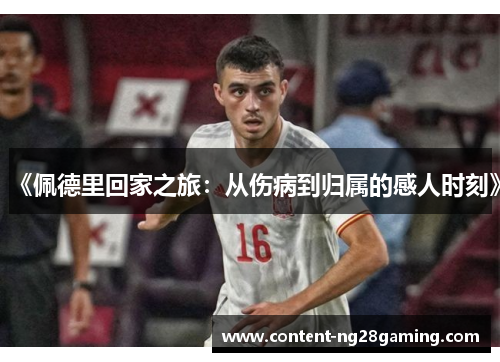 《佩德里回家之旅：从伤病到归属的感人时刻》