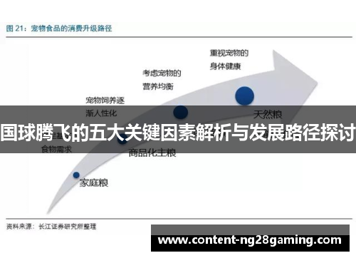 国球腾飞的五大关键因素解析与发展路径探讨