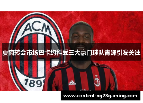 夏窗转会市场巴卡约科受三大豪门球队青睐引发关注