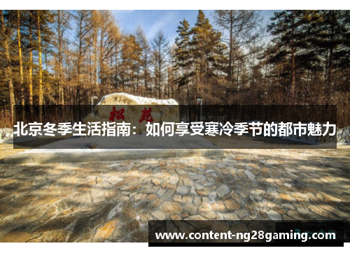 北京冬季生活指南：如何享受寒冷季节的都市魅力