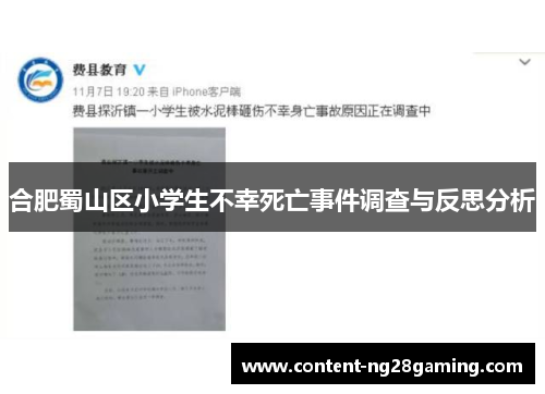 合肥蜀山区小学生不幸死亡事件调查与反思分析