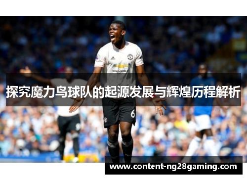 探究魔力鸟球队的起源发展与辉煌历程解析