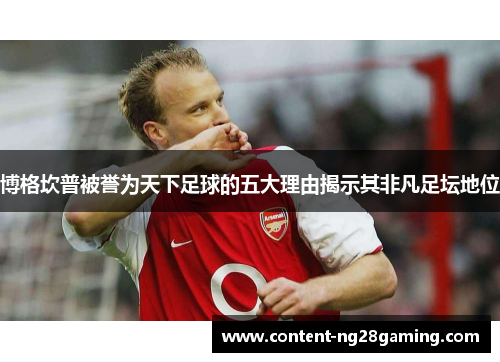 博格坎普被誉为天下足球的五大理由揭示其非凡足坛地位
