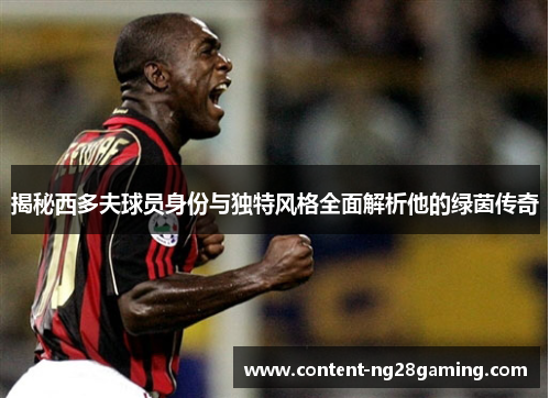 揭秘西多夫球员身份与独特风格全面解析他的绿茵传奇
