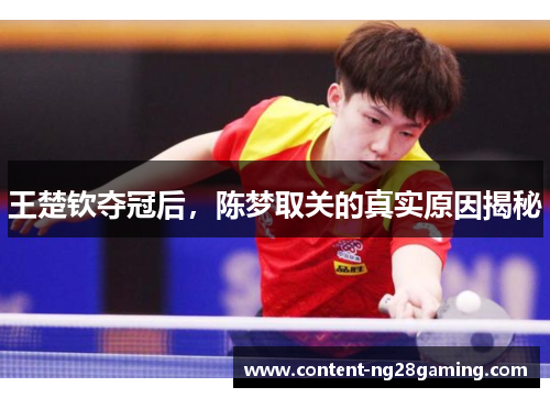 王楚钦夺冠后，陈梦取关的真实原因揭秘
