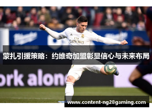 蒙扎引援策略：约维奇加盟彰显信心与未来布局