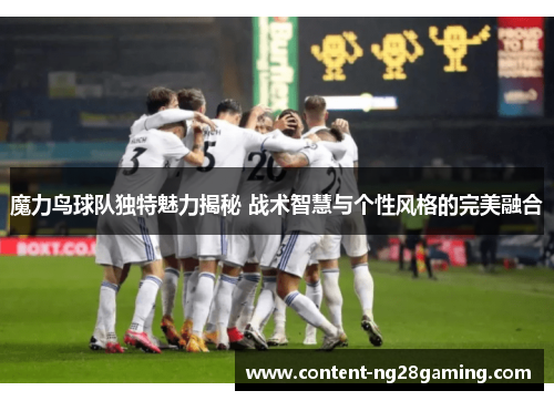 魔力鸟球队独特魅力揭秘 战术智慧与个性风格的完美融合