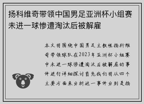 扬科维奇带领中国男足亚洲杯小组赛未进一球惨遭淘汰后被解雇